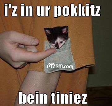 In Ur Pokkitz